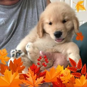 Meet your Posher, Patty